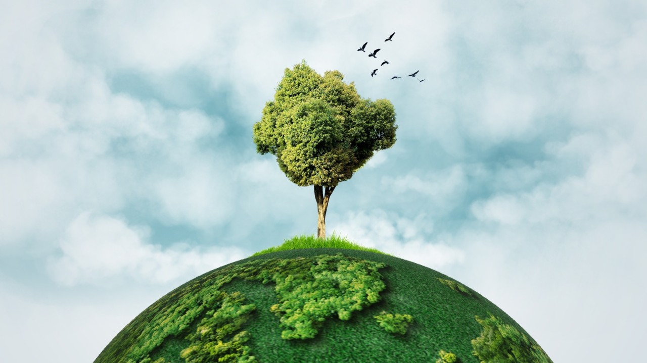 Earth Day 2025: Still asking why renewables? Maybe start asking why not.
