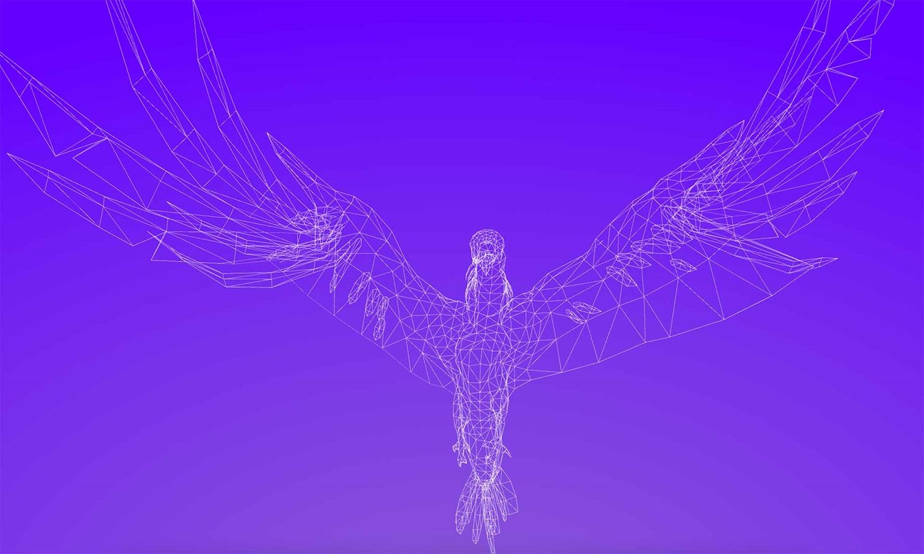 Big leap for UAE's homegrown AI as TII releases new Falcon language models Big leap for UAE's homegrown AI as TII releases new Falcon language models