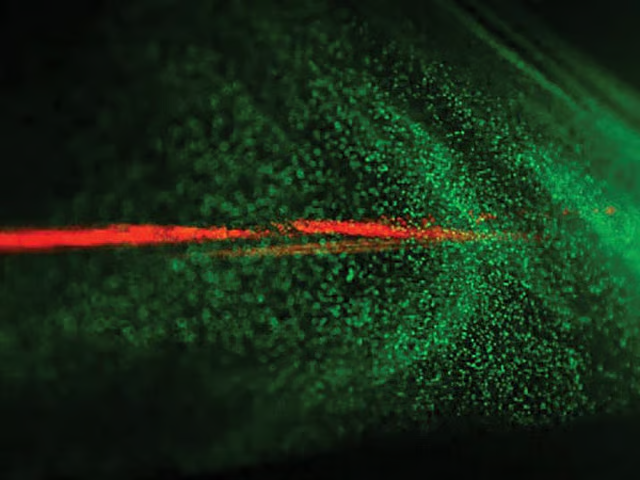 UAE tests use of lasers to stimulate rainfall UAE tests use of lasers to stimulate rainfall