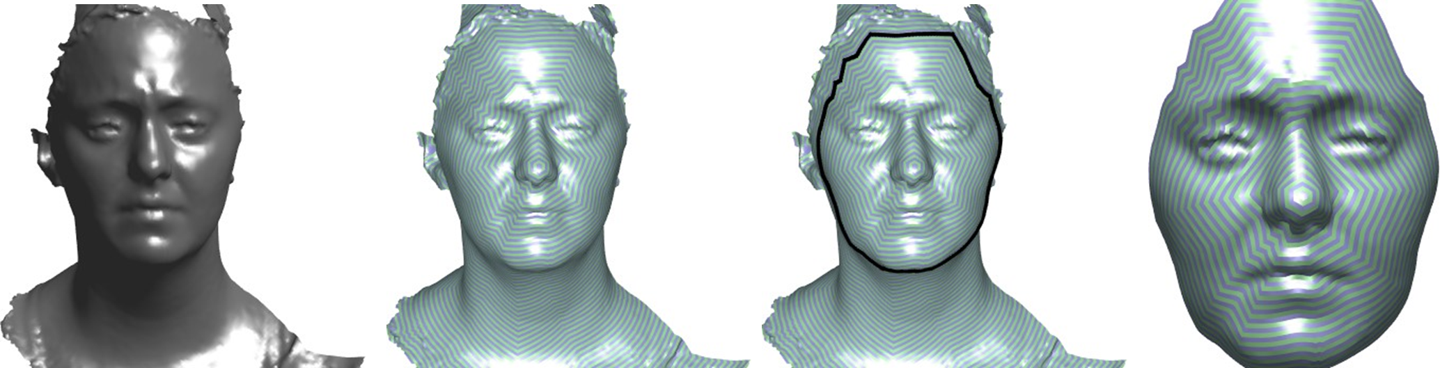 Example of regularisation and extraction of a human face from 3D raw data