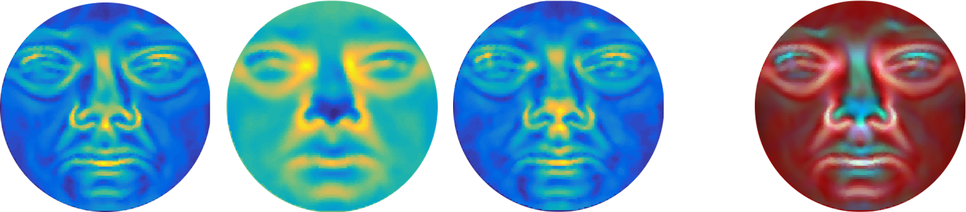 Caption: This is an example of a series of images generated by transforming raw 3D data into 2D overlays that indicate underlying properties of the object, such as maximum curvature, local depth, and mean curvature. This can pass the 3D information into AI algorithms for more sophisticated 3D algorithms.