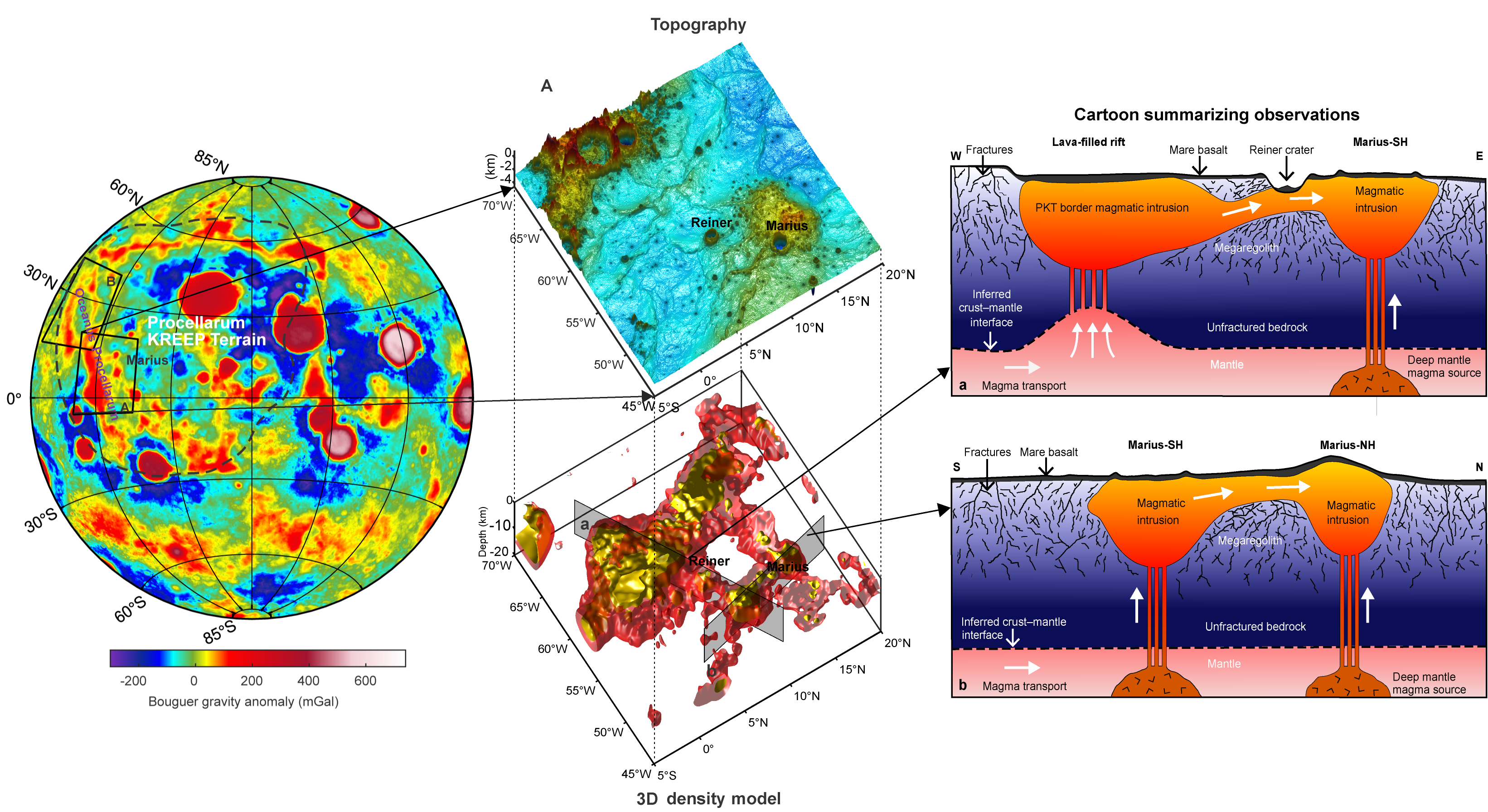 3D density model