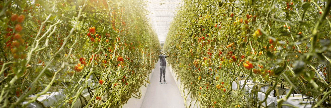 Bringing the future to life in Abu Dhabi