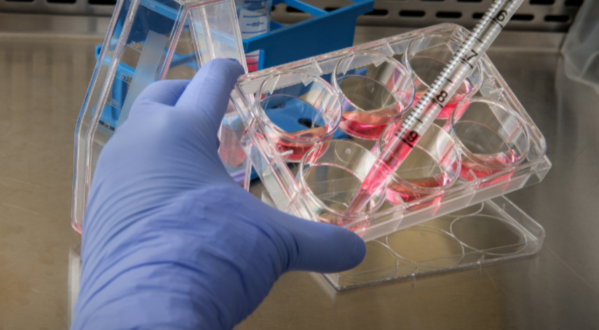 New screening platform aims to transform drug discovery process